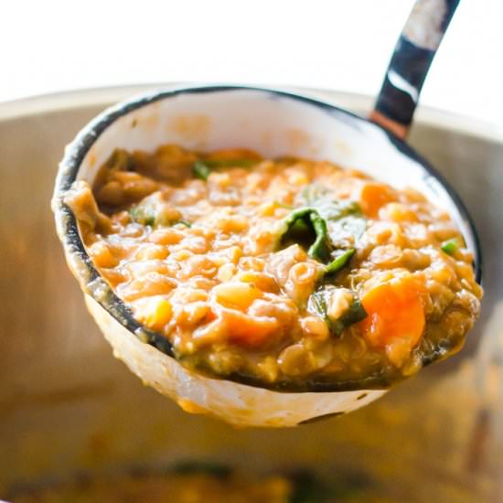 Instant Pot Lentil Soup