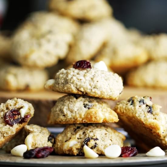 Chocolate Cranberry Oatmeal Cookies