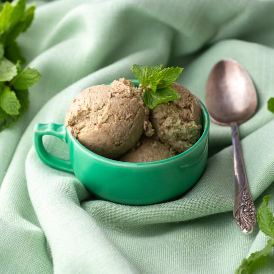 Dairy-Free Mint Chip Ice Cream
