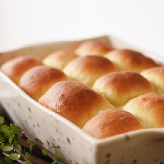 Traditional Homemade Rolls