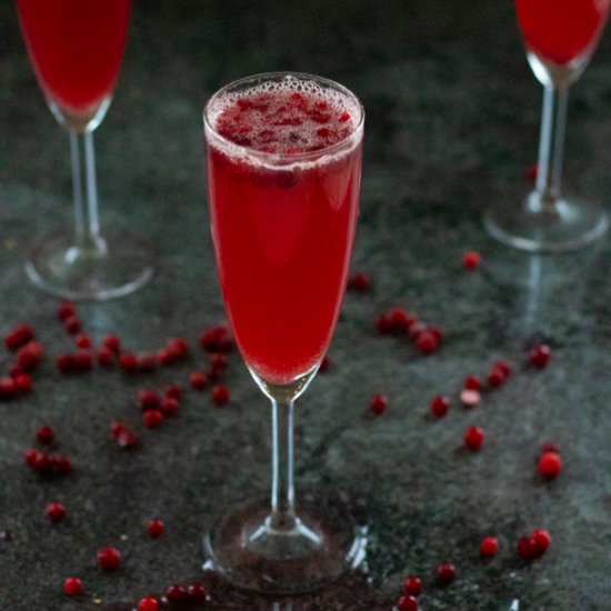 Cranberry Ginger Ale Punch