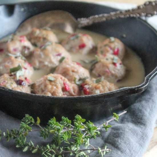 Cranberry Turkey Meatballs