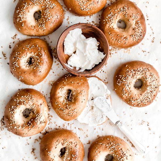 New york Bagels