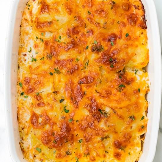 Scalloped Potato Gratin