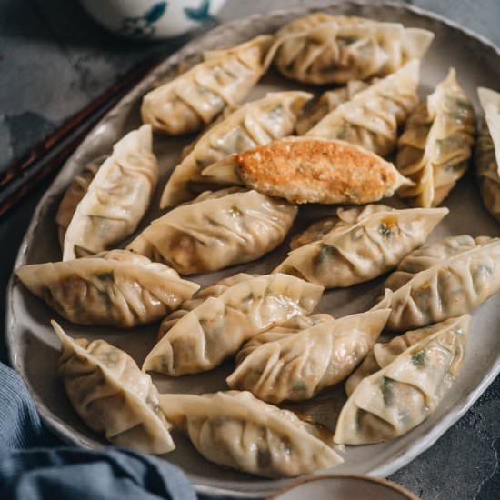 Turkey dumplings