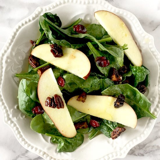 APPLE CRANBERRY SPINACH NUT SALAD