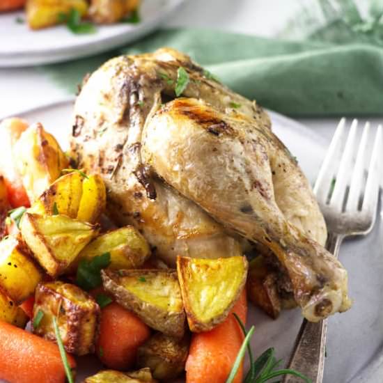 Instant pot game hens
