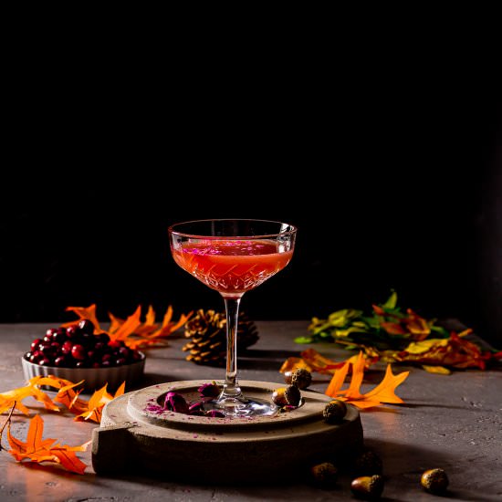 Vodka Blood Orange Cranberry Martin