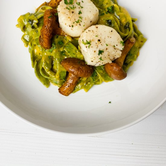 scallops + pumpkin herb fettuccine