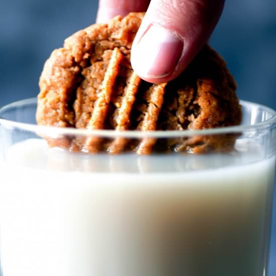 Vegan Peanut Butter Cookies