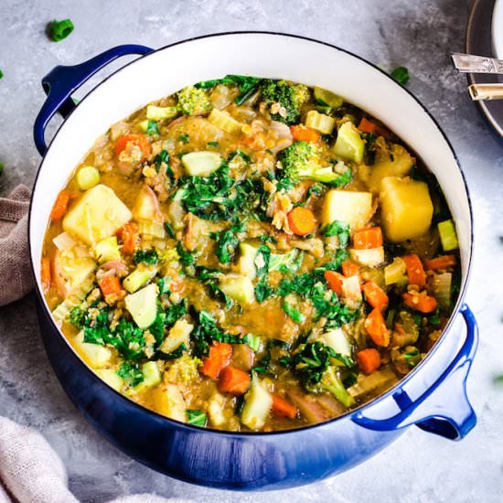 Easy Vegetable Stew (vegan & gf)