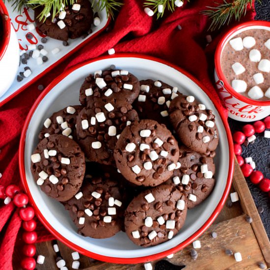 Hot Chocolate Cookies