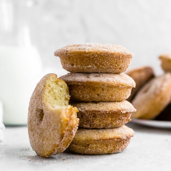 Baked Snickerdoodle Donuts