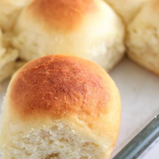 Gluten Free Hawaiian Rolls