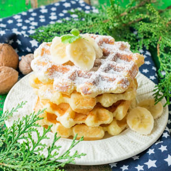 Cottage Cheese Waffles