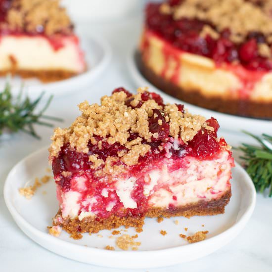 Cranberry Cheesecake + Gingersnap