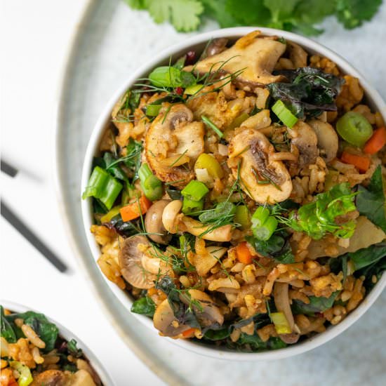 Fennel & Mushroom Fried Rice