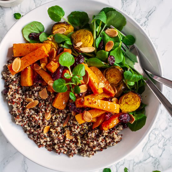 Vegan Pumpkin Quinoa Salad