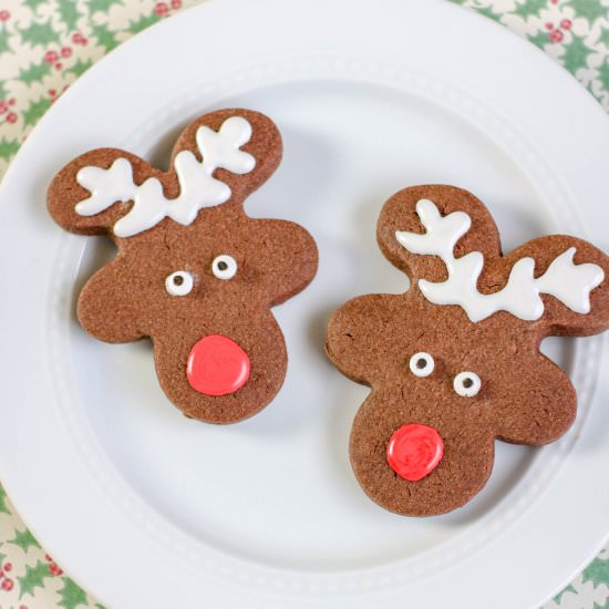 Chocolate Sugar Christmas Cookies