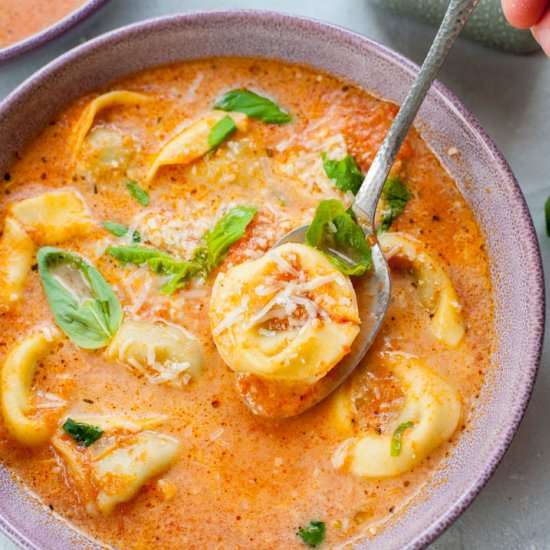 Tomato tortellini soup