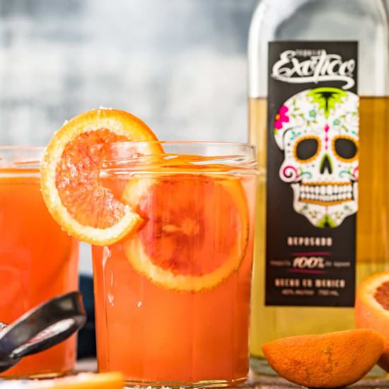 Blood Orange Paloma Cocktail!