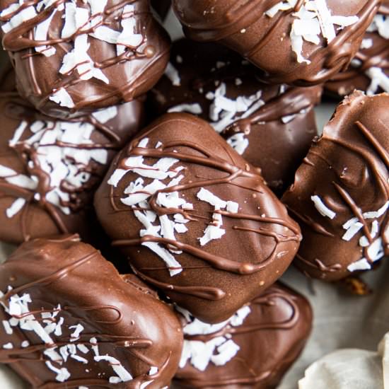 Vegan Chocolate Coconut Bars