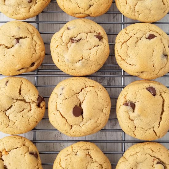 peanut butter chocolate chip cookie
