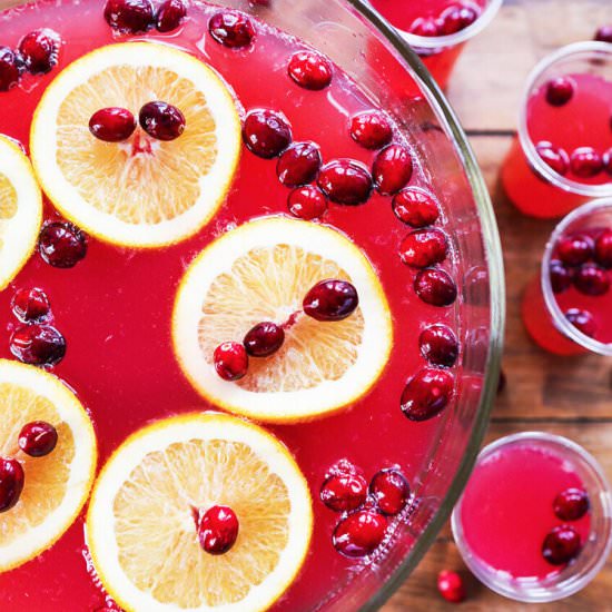 Easy and Beautiful Holiday Punch