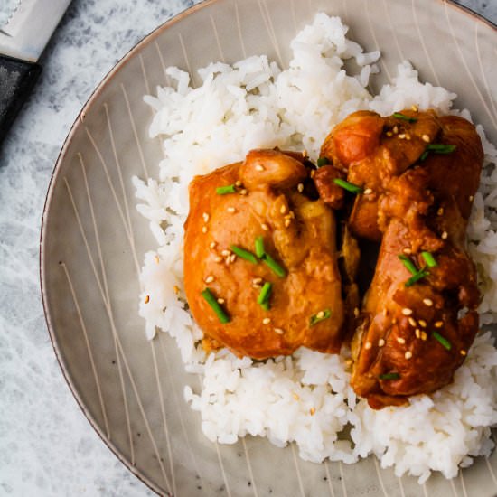 Instant Pot Honey Garlic Chicken