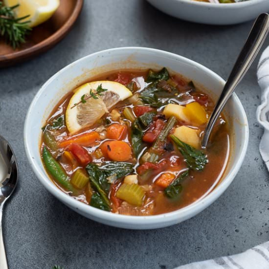 Instant Pot Vegetable Soup