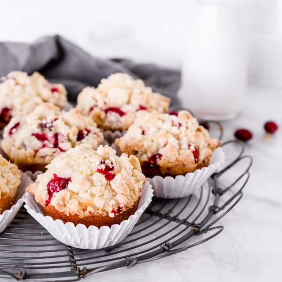 Cranberry Orange Muffins