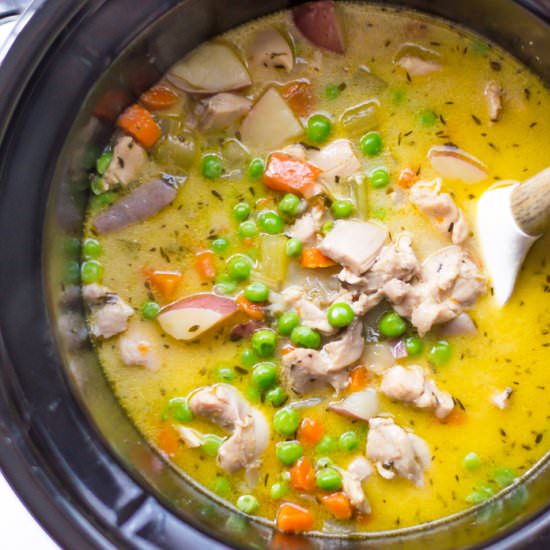 Slow Cooker Vegetable Chicken Stew
