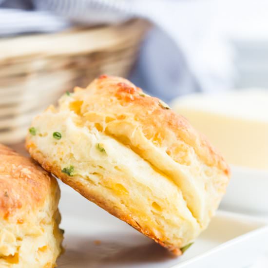 Flakey Cheddar Chive Biscuits