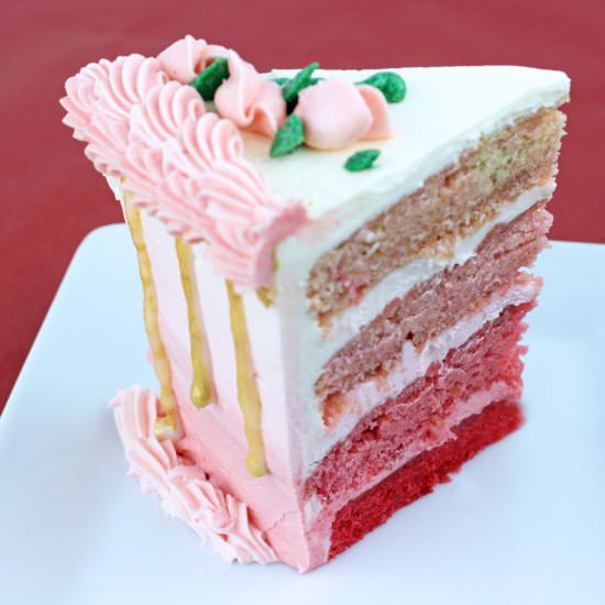 Heart Shaped Valentine Cake VEGAN!