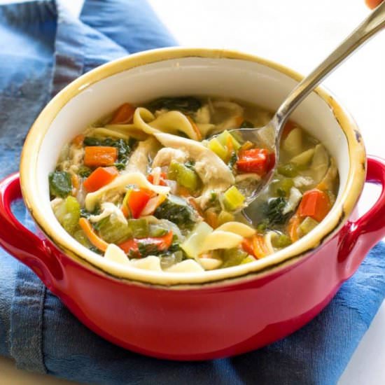 Healthy Vegetable Chicken Soup