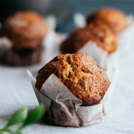 Apple Cinnamon Muffins | Low Carb,