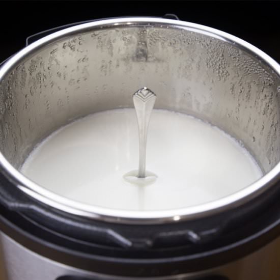 Instant Pot Yogurt