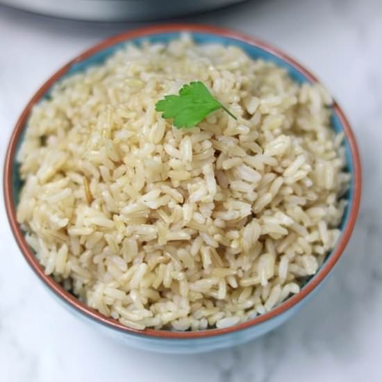 Instant Pot Brown Rice