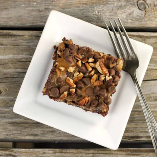 Turtle Dump Cake