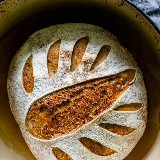 Sourdough Culture How-To
