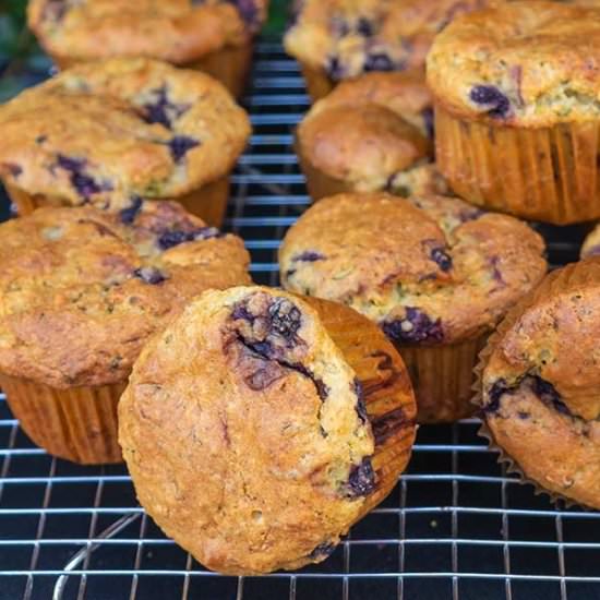 Gluten-Free Blueberry Chia Muffin