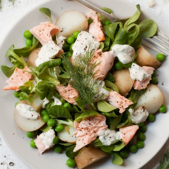 Salmon, Potato & Horseradish salad