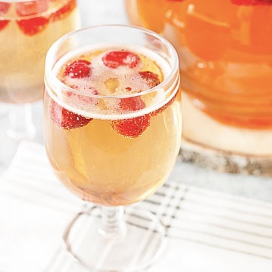 Party Punch Recipe