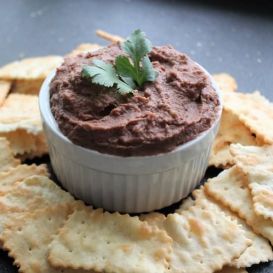 Tangy Black Bean Dip