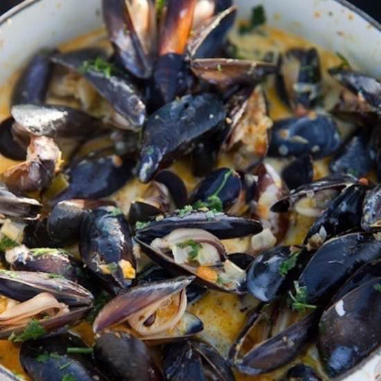Penn Cove Mussels