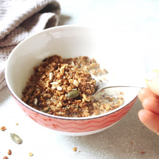 Crunchy Honey Seed Granola