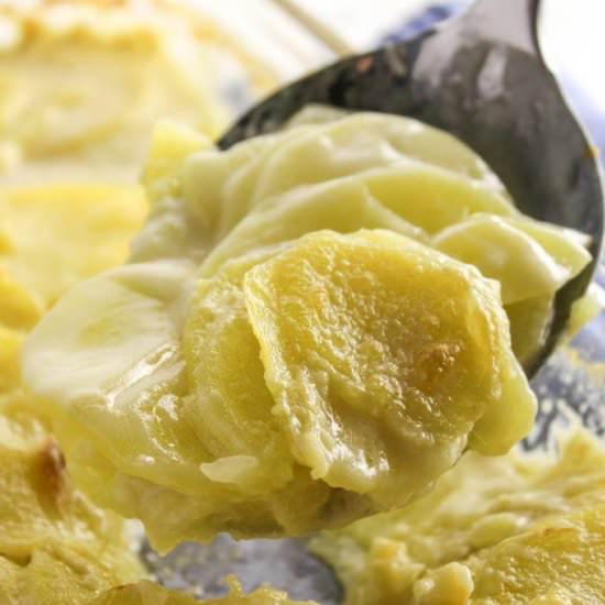 Vegan Scalloped Potatoes