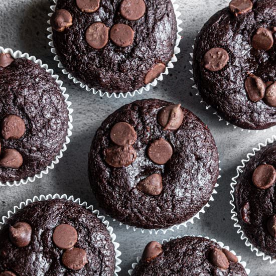 Double Chocolate Muffins