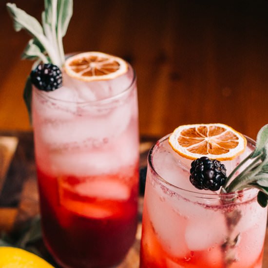 Blackberry Ginger Gin Smash
