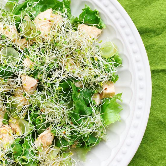 Chicken Salad Salad